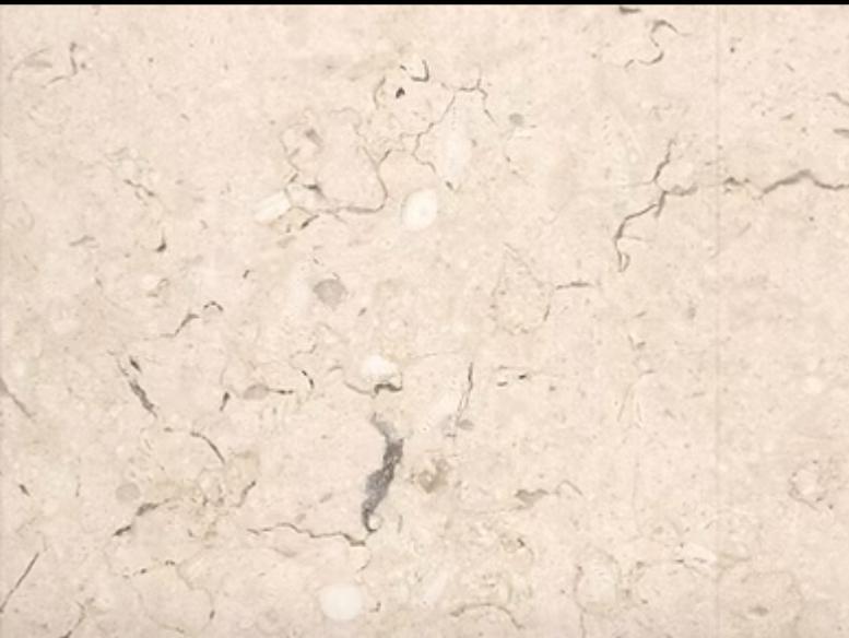 WhatsApp Image 2025-09-25 at 4.03.12 PM (1)