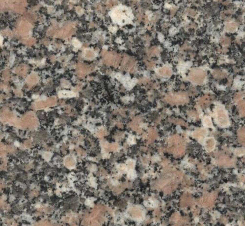 WhatsApp Image 2025-09-26 at 7.47.24 AM