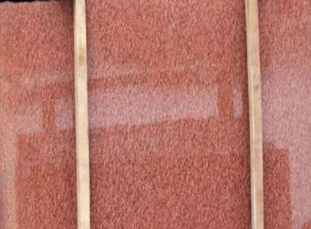 WhatsApp Image 2025-09-26 at 8.16.54 AM