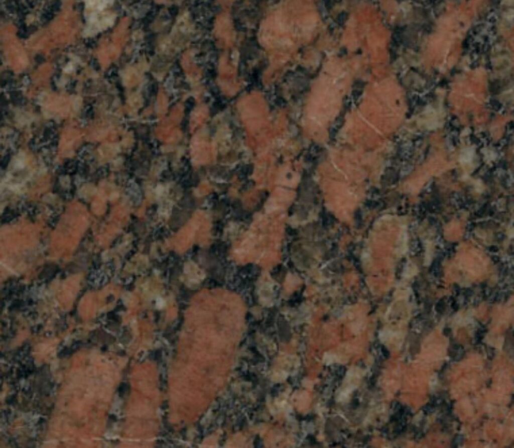 WhatsApp Image 2025-09-26 at 8.19.08 AM