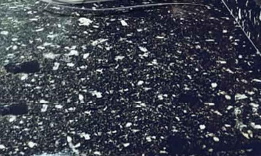 WhatsApp Image 2025-09-26 at 8.20.53 AM