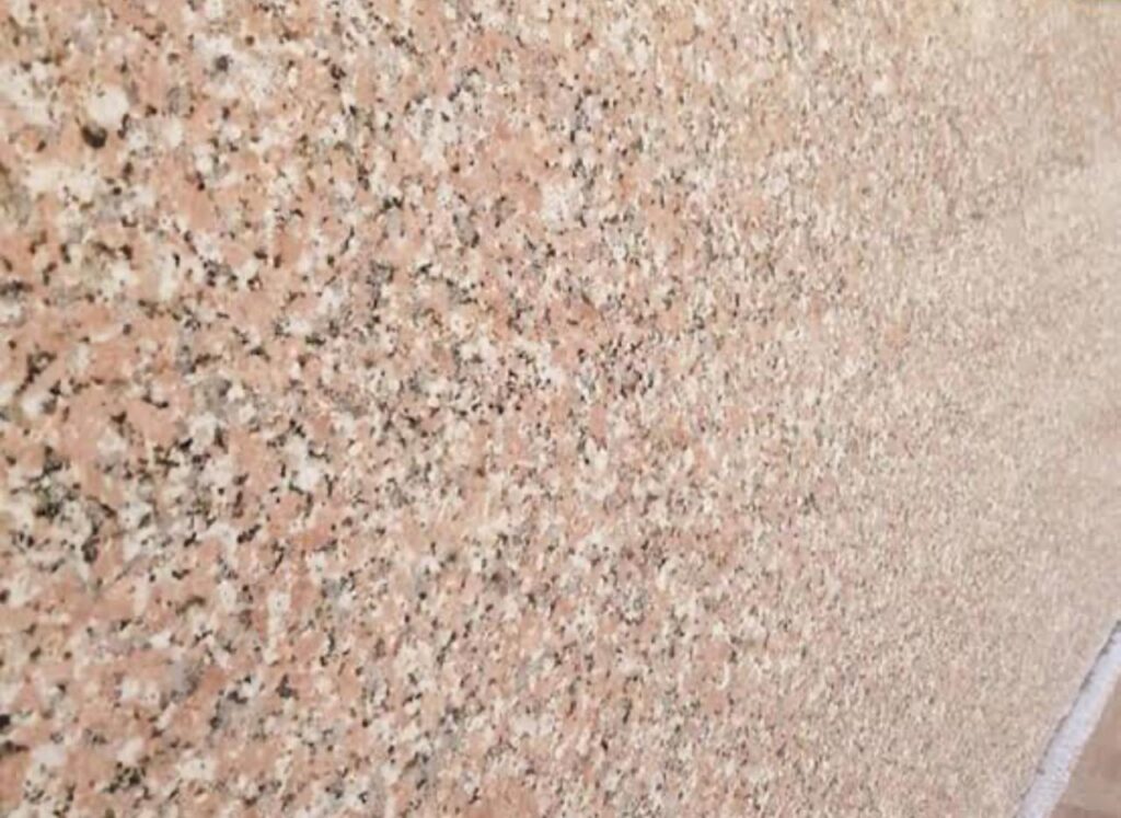 WhatsApp Image 2025-09-26 at 8.25.32 AM