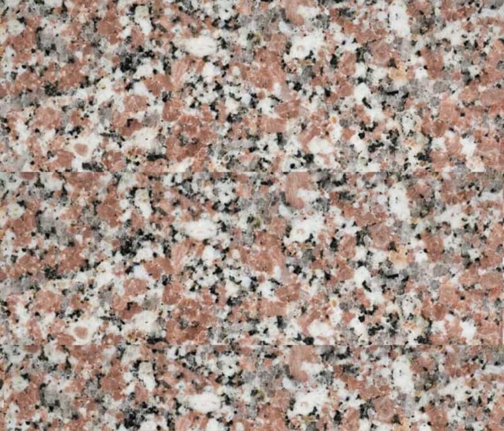 WhatsApp Image 2025-09-26 at 8.28.24 AM