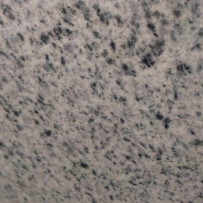 WhatsApp Image 2025-09-30 at 5.24.33 PM